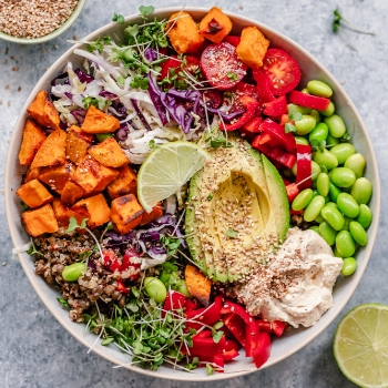 食事管理込みで、<br>何を食べればいいか迷わない